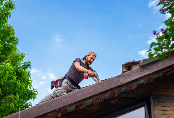 Best Cold Roofs  in Springfield, MN